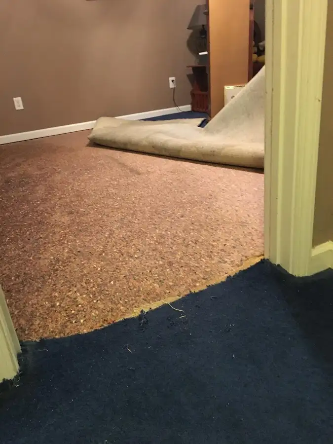 Carpet pad removal revealing water damage during Drying & Dehumidification in Annapolis