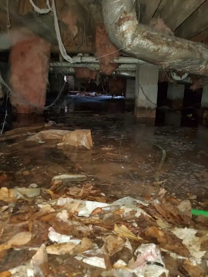 Crawl space flood assessment for Leak Detection & Repair in Annapolis