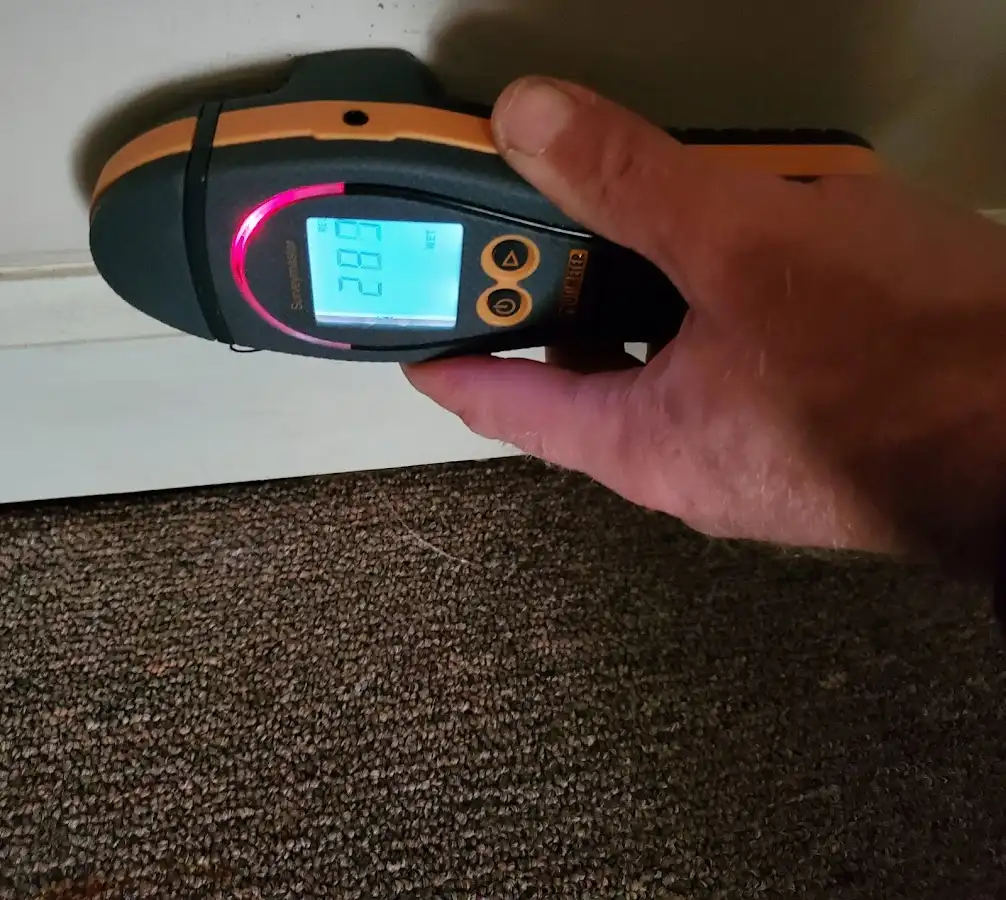 Moisture detection at baseboard during Burst Pipe Cleanup in Annapolis